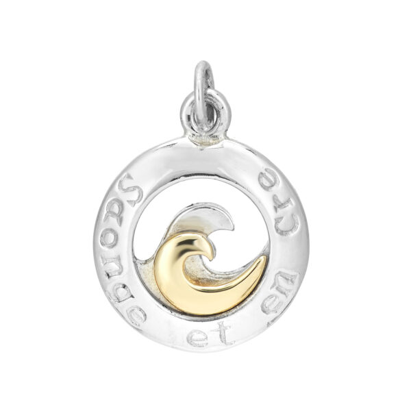 Sterling Silver & 9ct Yellow Gold Double Wave Charm/Pendant (Dream & Believe)