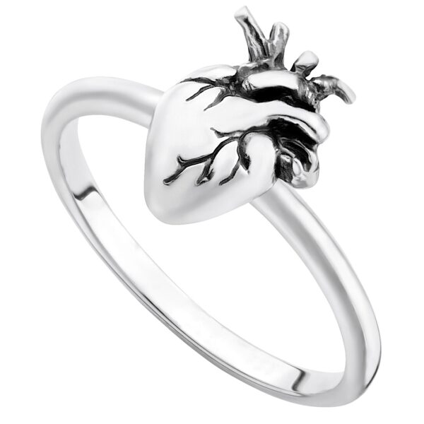 CARDIUM - Sterling Silver Ring