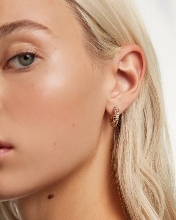 Tiger Earrings - Image 3