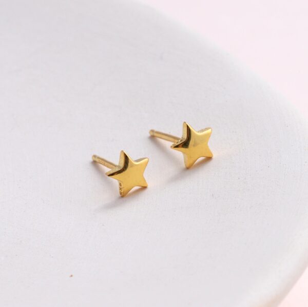 Well Done Mini Star Earrings Silver/Gold Plated - Image 3