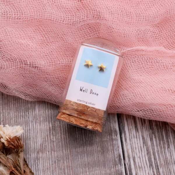 Well Done Mini Star Earrings Silver/Gold Plated