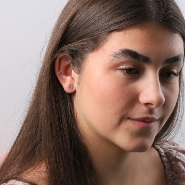'Best Of Luck' Crystal Horseshoe Earrings - Image 2